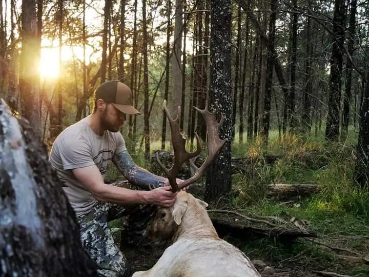 queensland hunting safaris